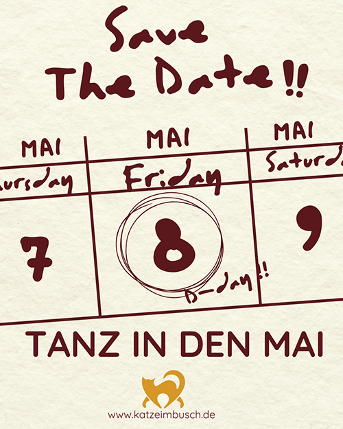 Tanz in den Mai - Katze im Busch